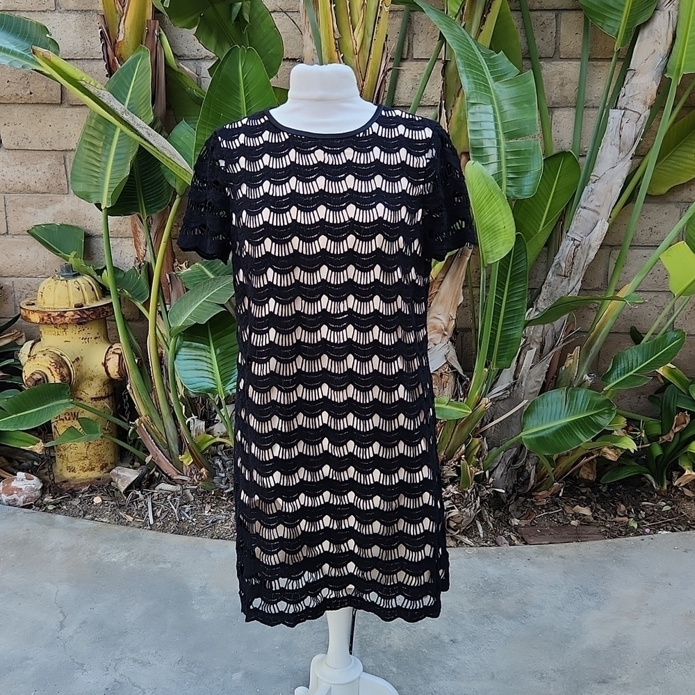 Kate Spade Virginia Scallop Lace Dress Size 10